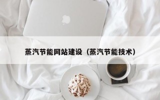 昭通蒸汽节能网站建设（蒸汽节能技术）