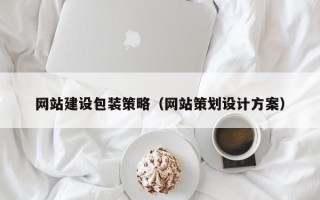 昭通网站建设包装策略（网站策划设计方案）